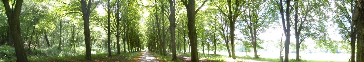 Young Family History